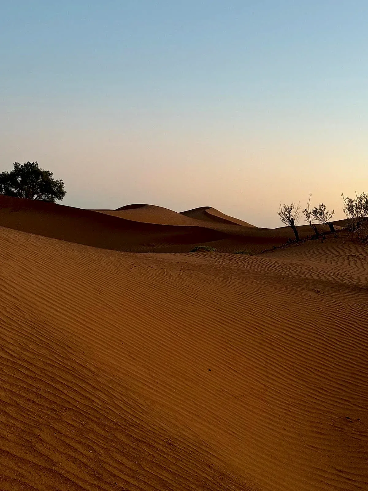 Grande Traversée des Oasis & Dunes Secrètes en 4x4 — Coucher de soleil sur les crêtes de sable du Sahara