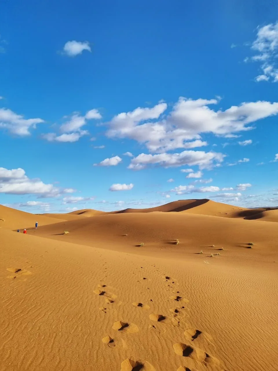 Ouarzazate