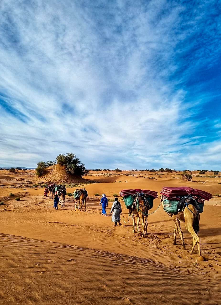 Caravane chamelière nomade au cœur des grandes dunes