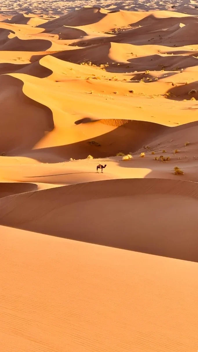 Coucher de Soleil en 4x4 & Dîner Nomade aux Chandelles — Expédition saharienne dans le désert marocain