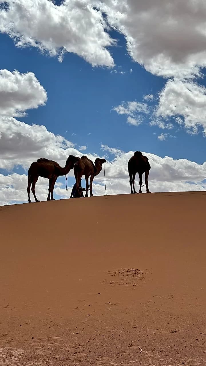 Grande Traversée des Oasis & Dunes Secrètes en 4x4 photo 2