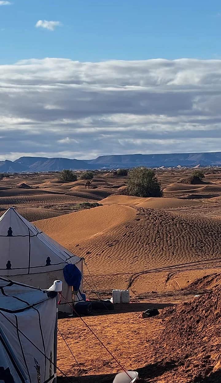 Campement nomade avec vue sur les reliefs sahariens