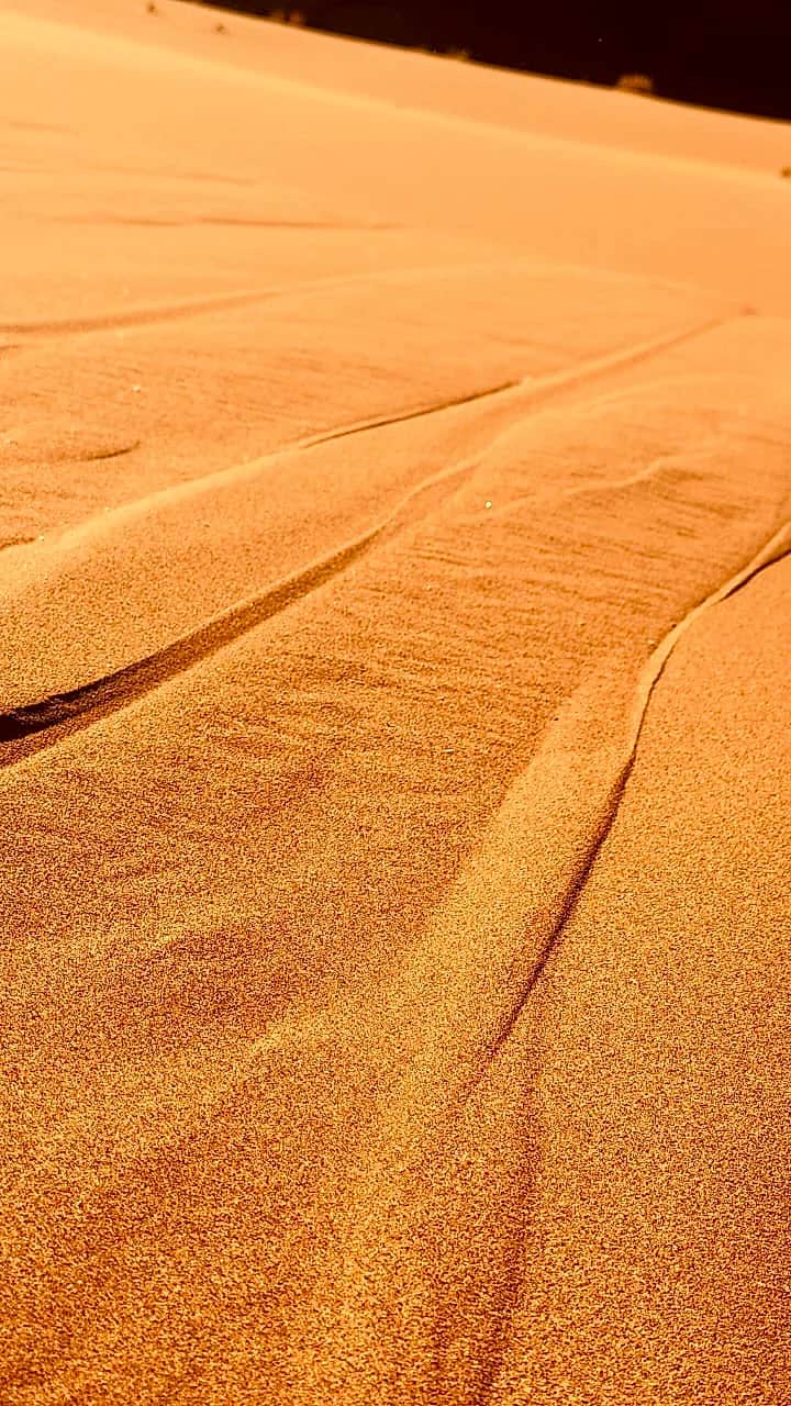 Traces éphémères du vent sur les crêtes de sable