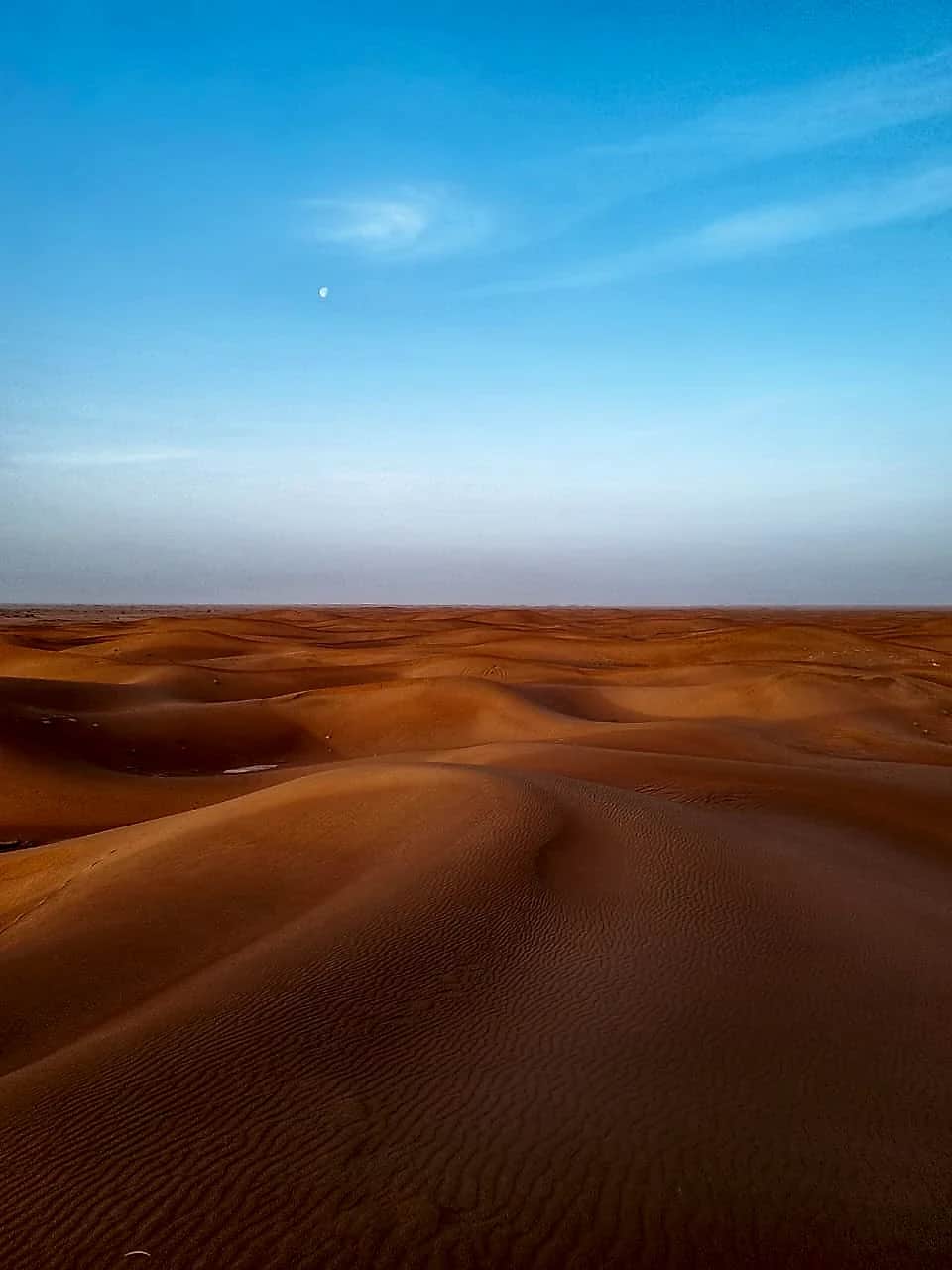 L'horizon infini des grandes dunes de Chegaga