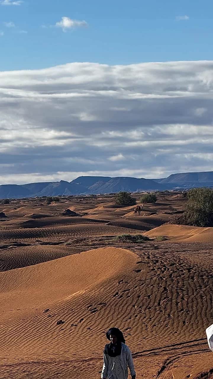 Marche contemplative au rythme du désert