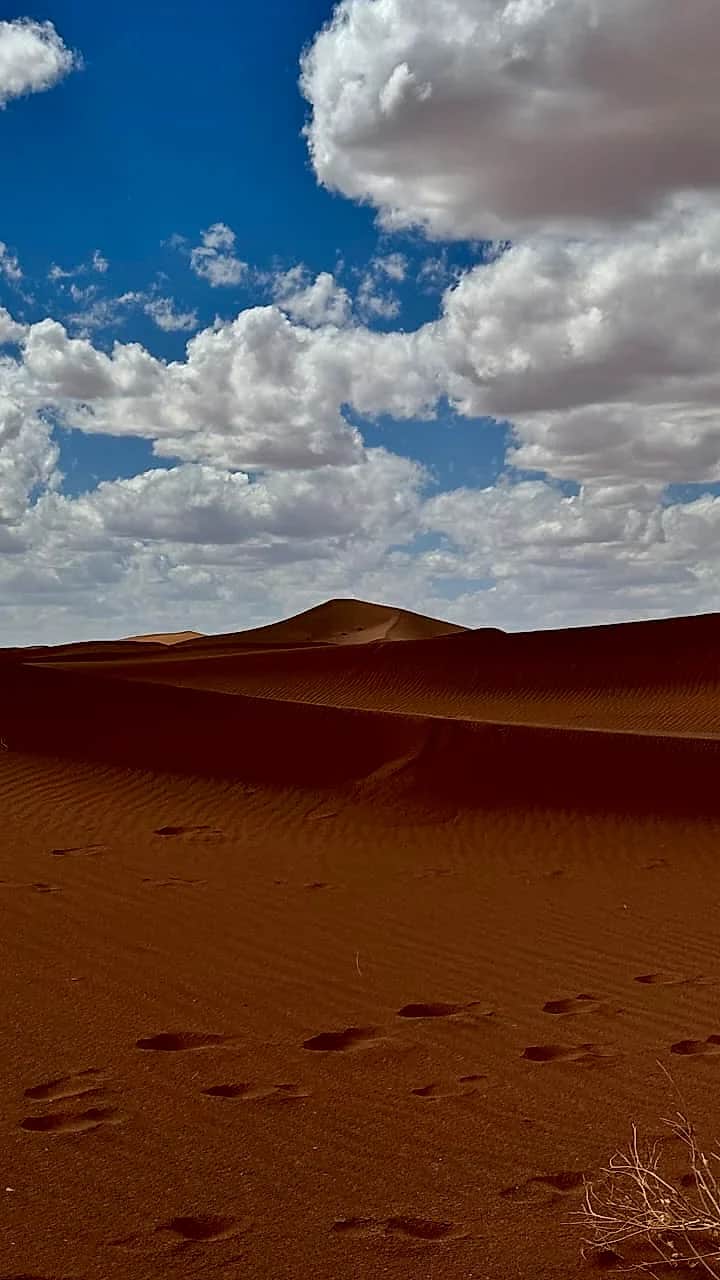 Panorama majestueux sur les vagues de sable