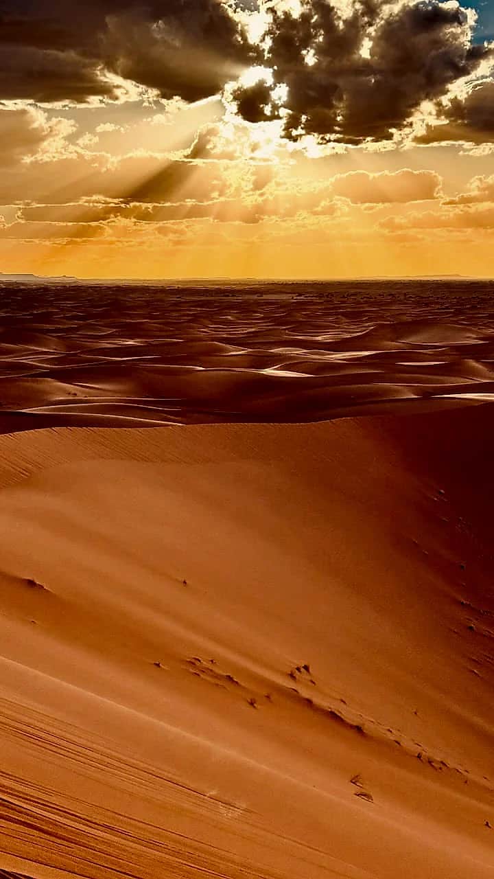 Lumière dorée du matin sur l'Erg Zahar