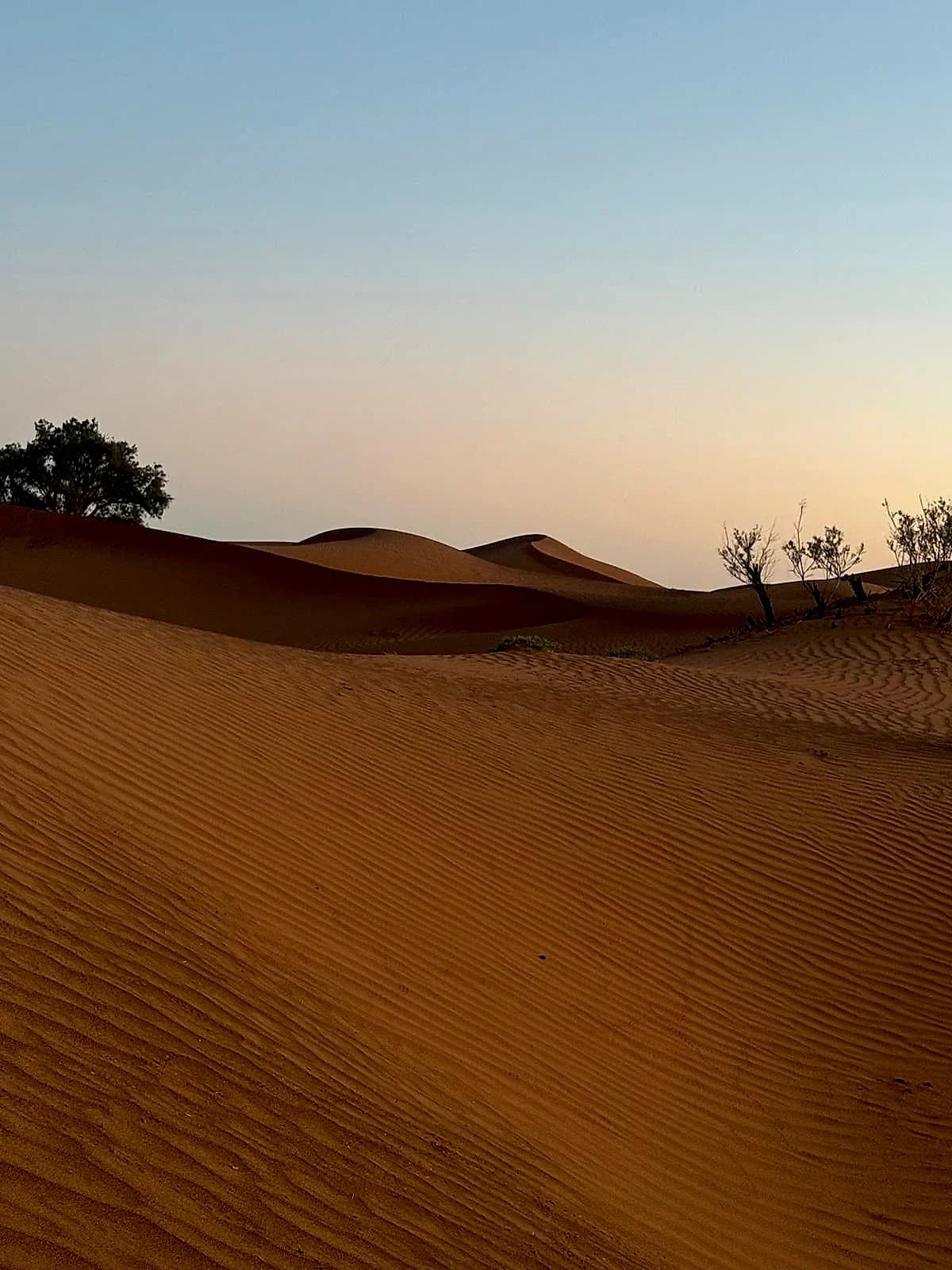 Grande Traversée des Oasis & Dunes Secrètes en 4x4 photo 3