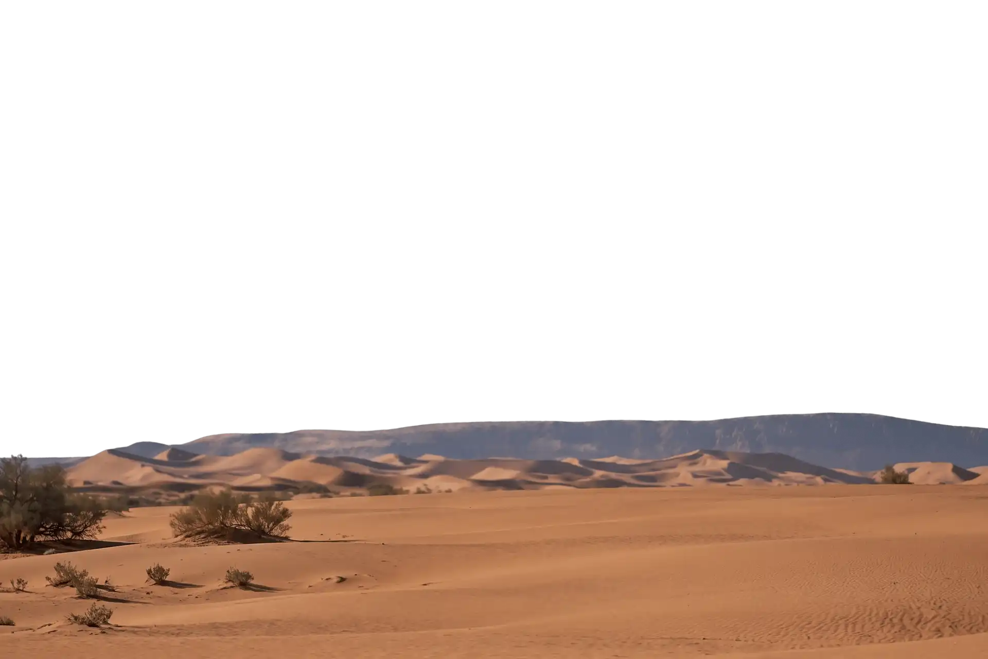 Dunes du Sahara